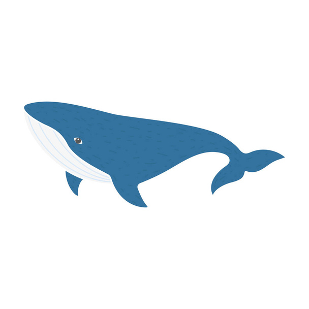Um animal azul de baleia. Personagem de baleia espermática. Símbolo animal do oceano. Vetor isolado em branco. - Vetor, Imagem