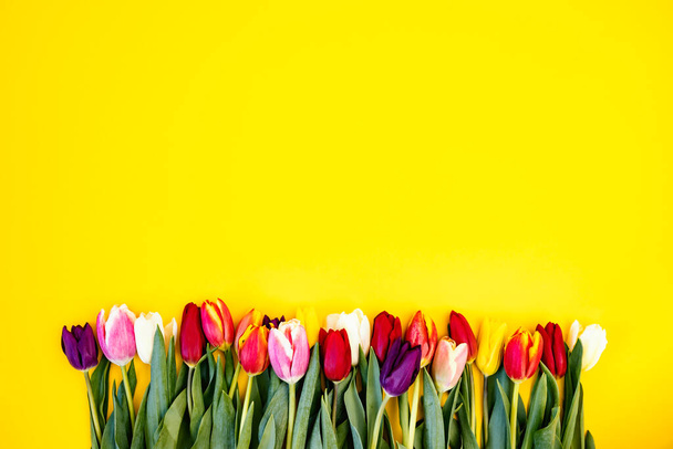 Bunch of colorful tulips on yellow background, mother's day concept. - Fotoğraf, Görsel