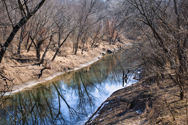river in the forest - Fotografie, Obrázek
