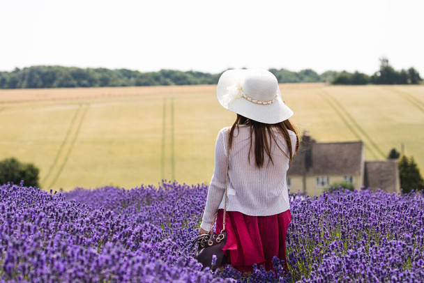 young woman in a hat  in the field - Fotoğraf, Görsel