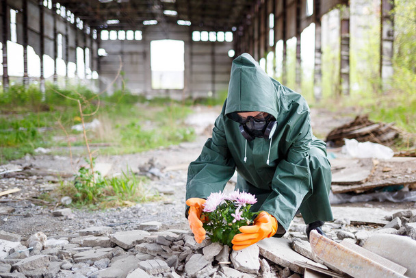 Mężczyzna w płaszczu przeciwdeszczowym i masce gazowej zbiera kwiat ze spalonej, toksycznej ziemi. Koncepcja zanieczyszczenia powietrza. Katastrofa ekologiczna. - Zdjęcie, obraz