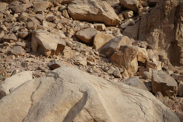 Oenanthe uccello melanura su una roccia. Il blackstart, Oenanthe melanura, è una chiacchierata che si trova nelle regioni desertiche del Nord Africa, del Medio Oriente e della penisola arabica. Dahab, Egitto - Foto, immagini