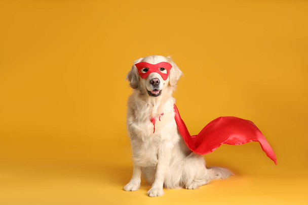 Adorable dog in red superhero cape and mask on yellow background - Photo, Image