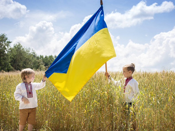Dos chicos con camisas nacionales ucranianas sostienen bandera amarilla y azul contra el campo de trigo. patriotas. Educación del patriotismo. Símbolo nacional de libertad e independencia. detener la guerra. Quédate con Ucrania. - Foto, Imagen