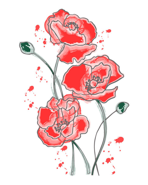 水彩イラスト、ポピーの花の花束を描いた。グレーのアウトラインを持つパステルカラー。ウォールアート、ポスター、グリーティングカード - ベクター画像