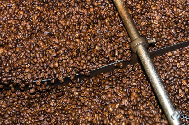 Coffee Beans - Φωτογραφία, εικόνα
