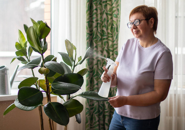 Eine ältere Frau besprüht die Blätter von Zimmerpflanzen mit einer Sprühflasche. Frühjahrsputz-Konzept.  - Foto, Bild