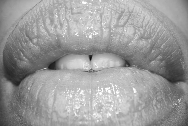 Sexy female lips. Close up macro sexy sensual womens open mouth. Sensual forms of woman lips. - Фото, изображение