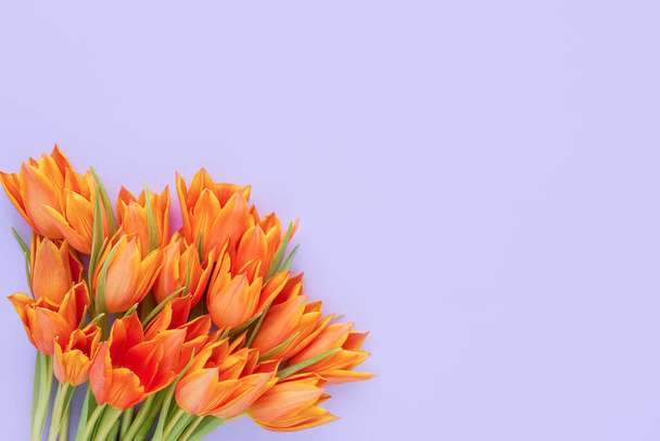 Bouquet of bright orange tulips on a lilac background. Mothers Day, Valentines Day, birthday concept - Foto, Imagen