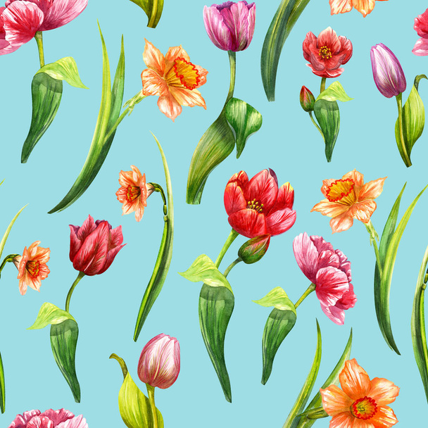 Watercolor pattern seamless tulips daffodils on a fresh bright blue background. Isolated flowers. - Foto, Bild