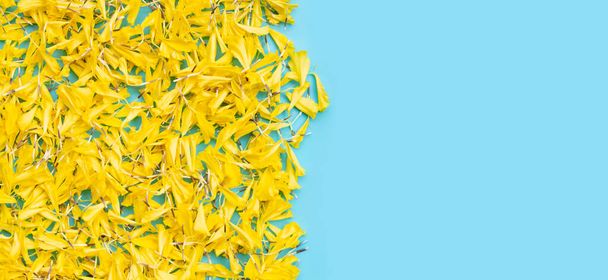 Yellow marigold flowers on blue background. - Foto, immagini