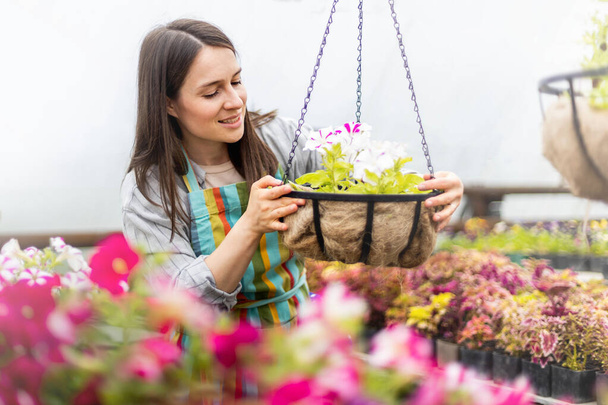 Happy woman florist in apron smiling cultivated growing blossom flowers in hanging flowerbed - Foto, immagini