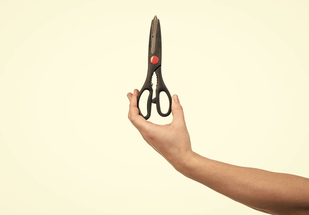 main avec ciseaux à couper isolé sur blanc, coiffure - Photo, image