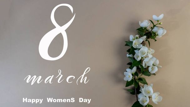 International Women's Day March 8! Flat Lay, banner, greeting card with flowers from March 8, Beautiful White Jasmine Flowers - Photo, image