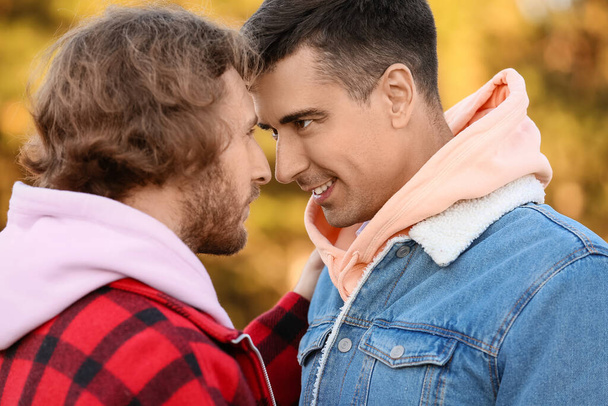 幸せなゲイカップル屋外で秋の日 - 写真・画像