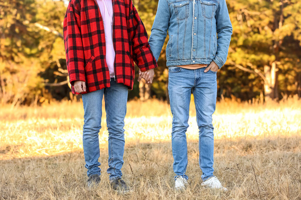 Happy gay couple holding hands outdoors on autumn day - 写真・画像
