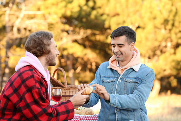 feliz gay pareja tener picnic al aire libre en otoño día - Foto, imagen