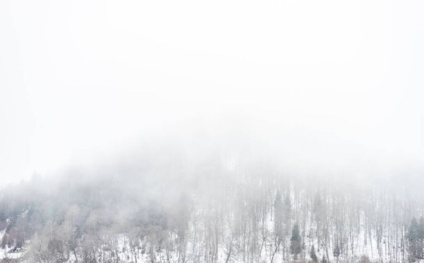 Cubierto de nieve Montaña del Cáucaso en tiempo de día brumoso en Bakuriani resort, Georgia - Foto, imagen