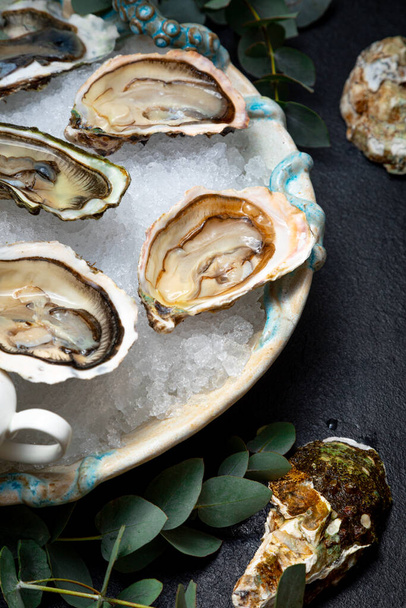 open oysters in a plate with ice on a dark background. Sea delicacy. - Photo, Image
