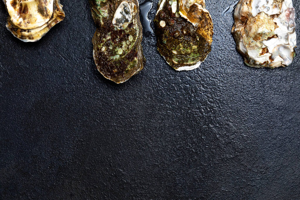 Sea delicacy fresh closed oysters are laid out on a dark background. - Zdjęcie, obraz