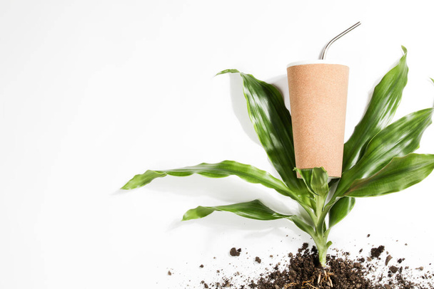 wiederverwendbare Öko-Kaffee- oder Teetasse, Pflanze mit Wurzeln im Boden auf weißem Hintergrund. Nachhaltiger Lebensstil.Umweltfreundlich und ohne Verschwendung. - Foto, Bild