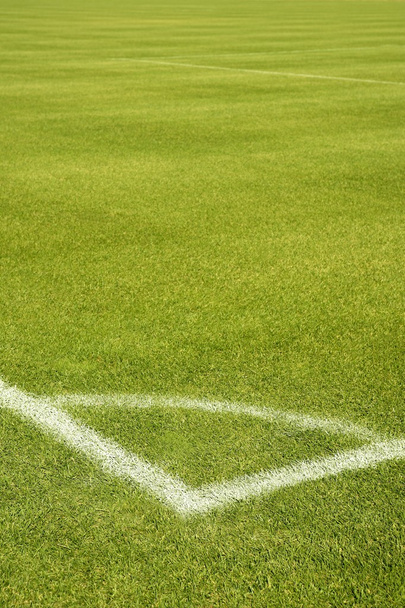 Football green grass field corner white lines - Photo, Image
