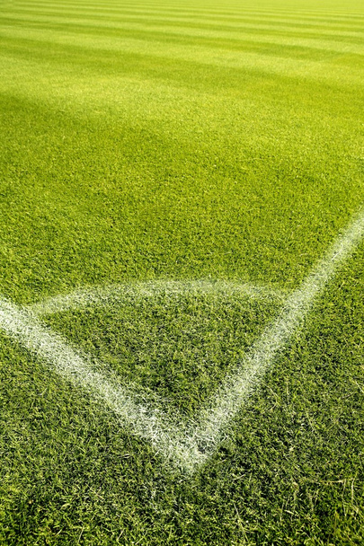 Football green grass field corner white lines - Photo, Image