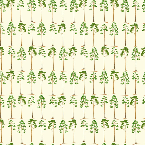 Çam ağacının suluboya desenleri. El çizimi, açık bej renkli kozalaklı bitkiler. Yeşil orman geçmişi. Woodland doğa illüstrasyonu. Kumaş, tekstil ve ambalaj için yaz yinelenen tasarım - Fotoğraf, Görsel