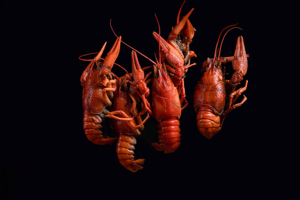 boiled crayfish on a black background in the air - Fotó, kép