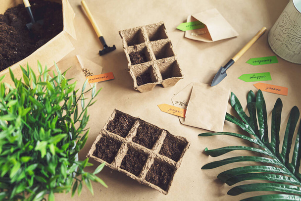 Planting vegetables in the home garden. Home gardening, hobbies and agricultural life during the lockdown. The concept of ecological and plant economy. Flat lay, top view. Selective focus.  - Foto, imagen