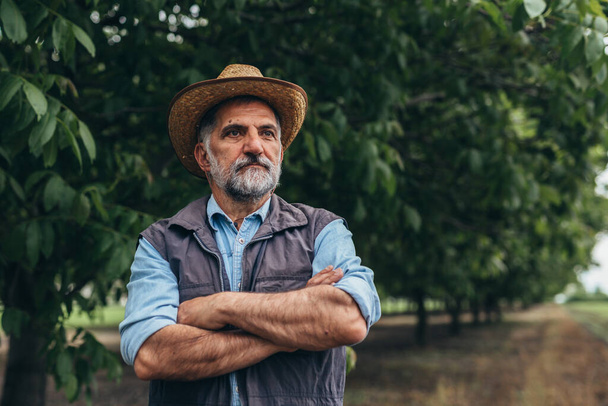 senior bearded farmer posing outdoor - Foto, immagini