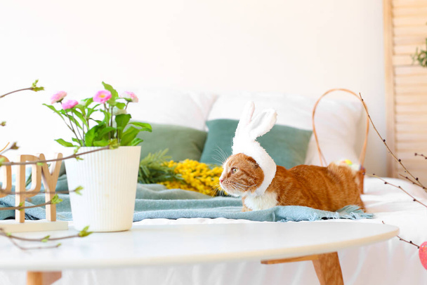 Cute cat with bunny ears lying on bed. Easter holiday - Φωτογραφία, εικόνα