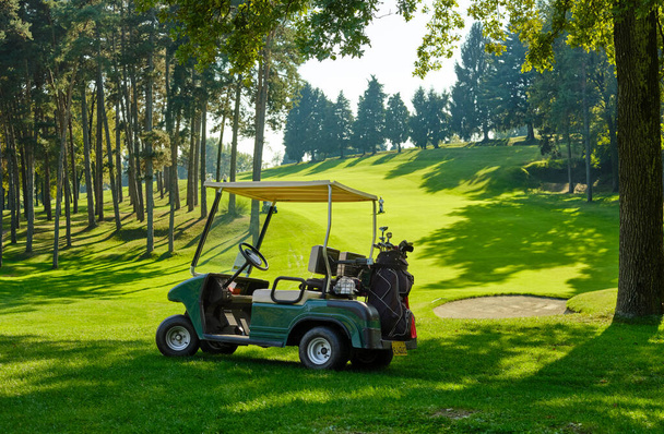 Samochód golfowy zaparkowany z torbą i kijami golfowymi w cieniu drzewa w pobliżu toru wodnego pola golfowego w słoneczny letni dzień. - Zdjęcie, obraz