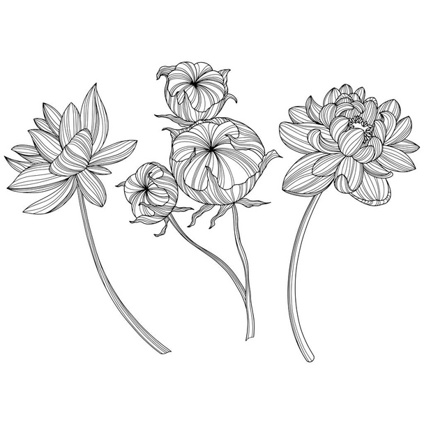 Kivonatos virágok elszigetelve a fehér. Kézzel rajzolt vonalvektor illusztráció. 10. rész - Vektor, kép