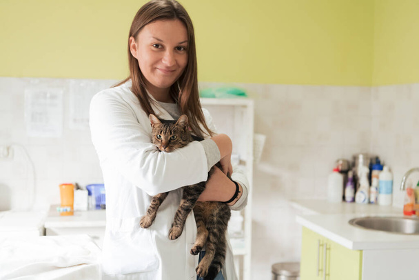 Veterinary clinic. Female doctor portrait at the animal hospital holding cute sick cat ready for veterinary examination and treatment  - Foto, immagini