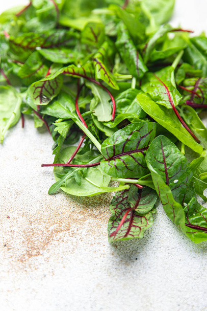 salaatti vihreät lehdet sekoita mikrovihreä mehukas välipala valmis syömään pöydällä terveellisen aterian ylhäältä näkymä kopioi tilaa elintarvikkeiden tausta  - Valokuva, kuva