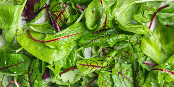 Salat grüne Blätter mischen mikrogrünen saftigen Snack Fertiggerichte auf dem Tisch gesunde Mahlzeit von oben Ansicht kopieren Raum Lebensmittel Hintergrund  - Foto, Bild
