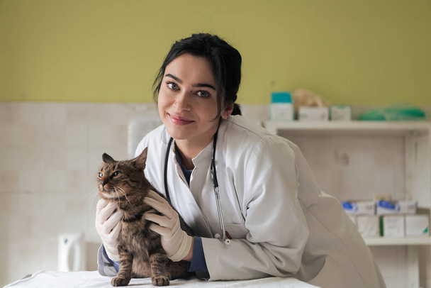 Veterinary clinic. Female doctor portrait at the animal hospital holding cute sick cat ready for veterinary examination and treatment  - Foto, afbeelding