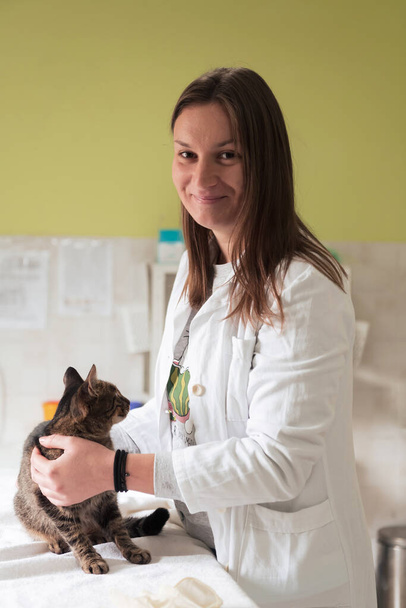 Veterinary clinic. Female doctor portrait at the animal hospital holding cute sick cat ready for veterinary examination and treatment  - Photo, image