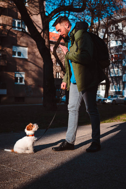 Young man training his Jack Russell terrier puppy outdoor. Cute little doggie sitting still while listening to commands from its owner.  - Fotoğraf, Görsel