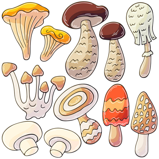 Cogumelos. Conjunto de ilustrações vetoriais em estilo desenhado à mão. Desenhos infantis, cartaz com cogumelos da floresta. Coleta de adesivos - Vetor, Imagem