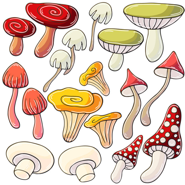 Cogumelos. Conjunto de ilustrações vetoriais em estilo desenhado à mão. Desenhos infantis, cartaz com cogumelos da floresta. Coleção de ícones, sinais, adesivos - Vetor, Imagem
