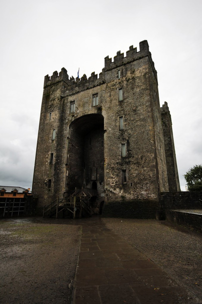 Bunratty Castle and Durty Nelly pub in Bunratty village, Irlanda
 - Foto, Imagem