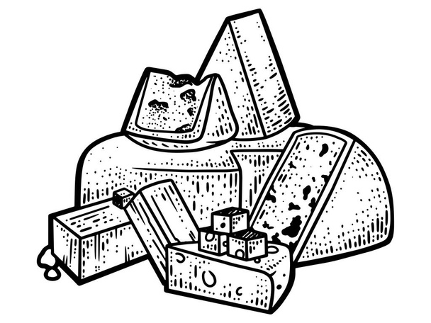 Peynir takımı. Süt ürünleri. Çizgi çizimi resmi. El çizimi. - Fotoğraf, Görsel