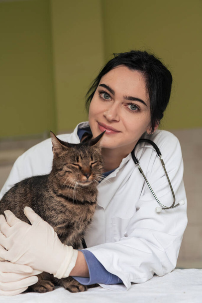 Veterinary clinic. Female doctor portrait at the animal hospital holding cute sick cat ready for veterinary examination and treatment  - Foto, Imagem