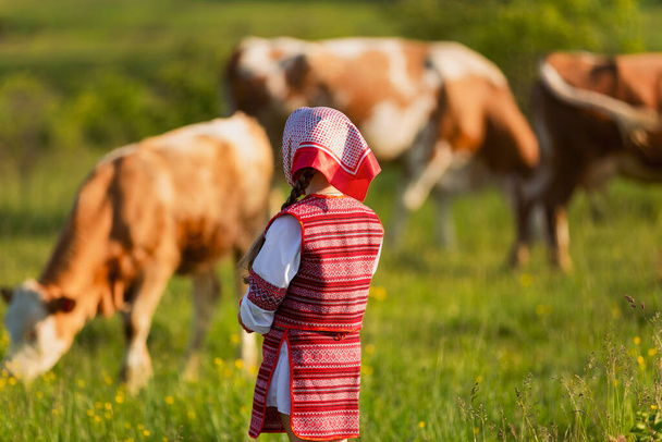 child tending cows - Photo, Image