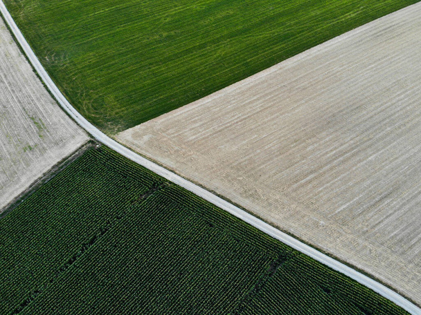 aerial view of the field of the wheat fields - Foto, afbeelding