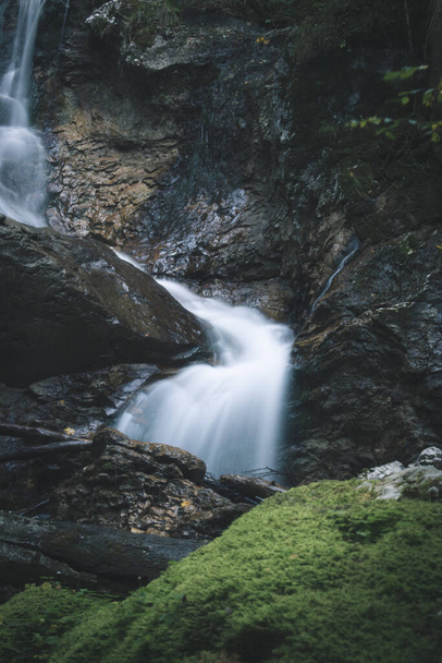 waterfall in the forest - 写真・画像