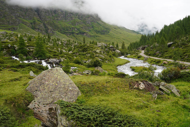 beautiful landscape of the carpathian mountains - Фото, зображення
