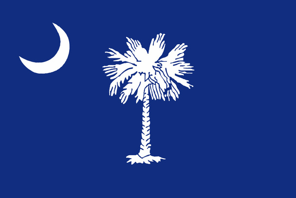 vlag van South carolina - Vector, afbeelding